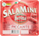 principale.png_2024-03-20 21:31:41